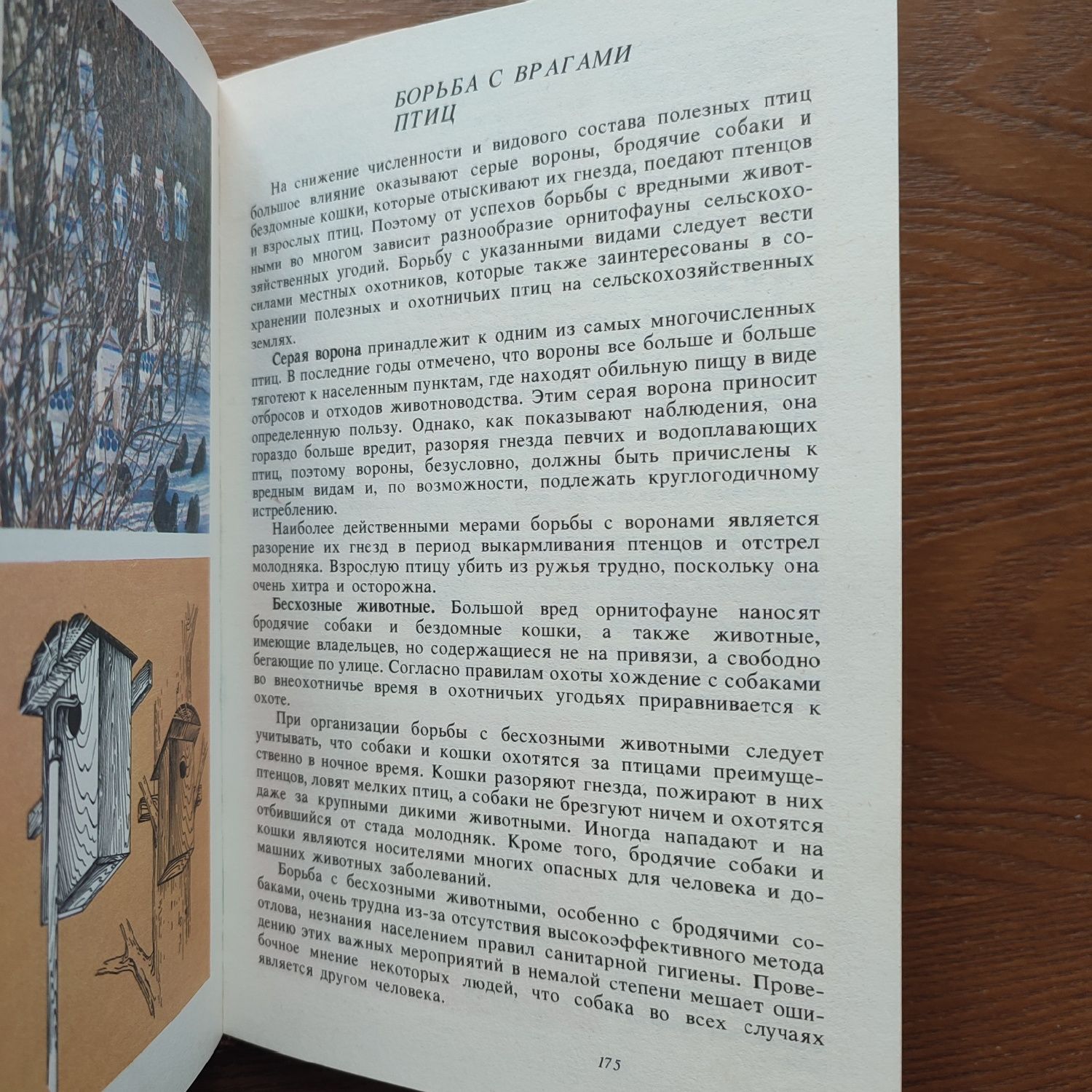 "Птицы — наши друзья" А. И. Рахманов