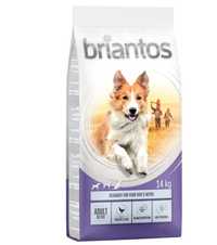 Briantos, karma sucha, 14 kg adalut avtiv (nr 21) 

Adult Active