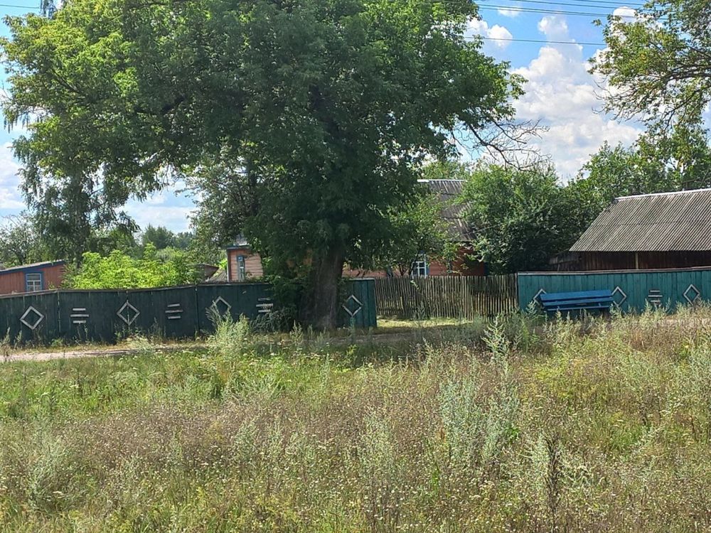 Продається будинок в с.Дідковичі Коростенського району