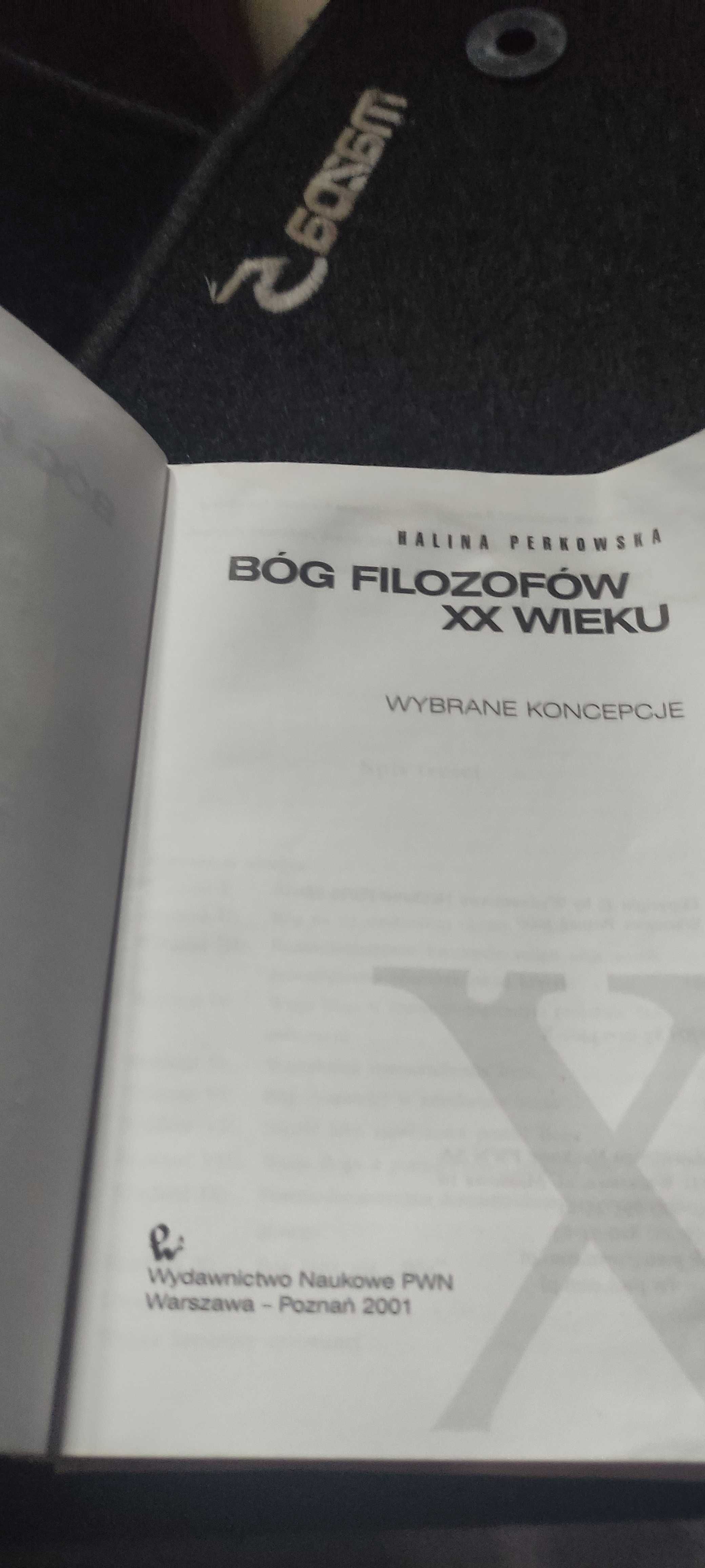 Bóg filozofów XX wieku wybrane koncepcje H Pierkowska