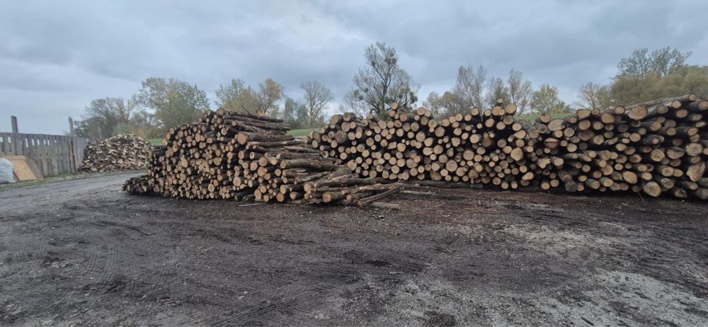Drewno opałowe/opał/blaty bukowe, dębowe, grabowe