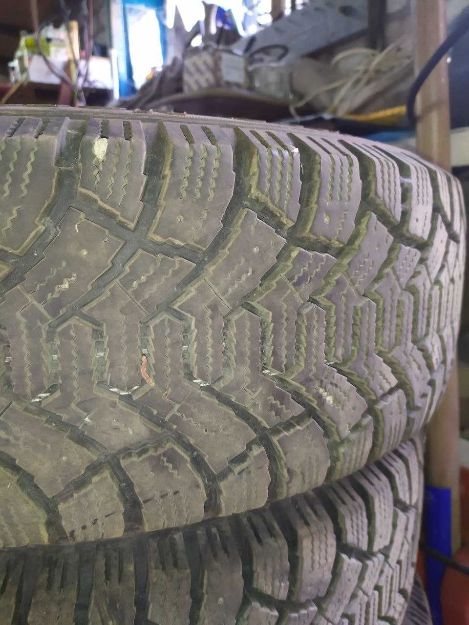 Зимняя резина Tunga Nordway 195/65 R15  на ориг. дисках VAG VO 615014