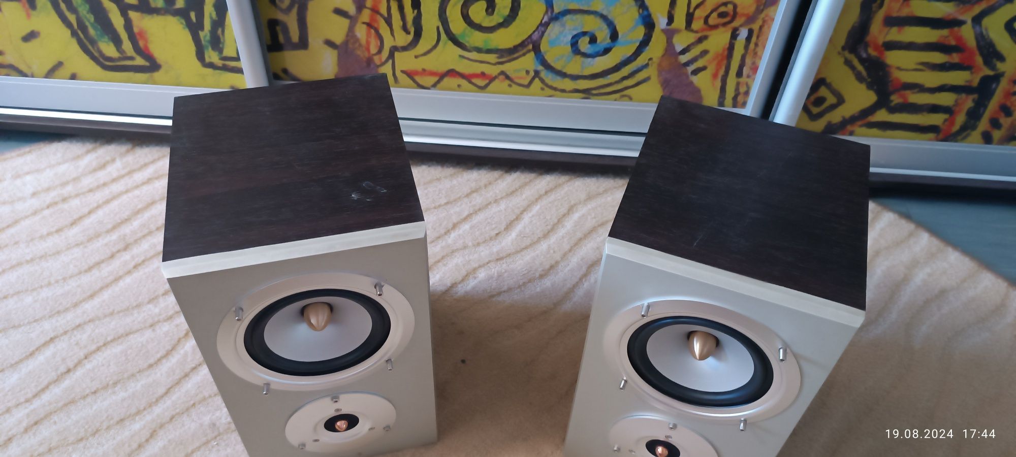 Акустика Swans D200R