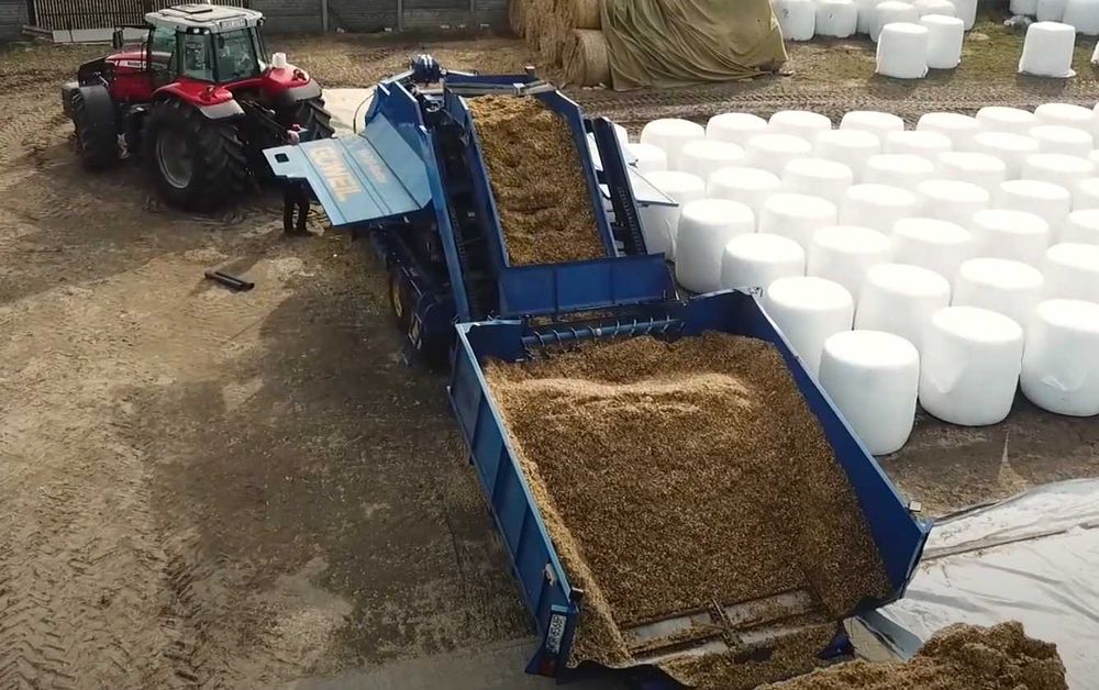 Kiszonka z kukurydzy Bele, kukurydza w belach