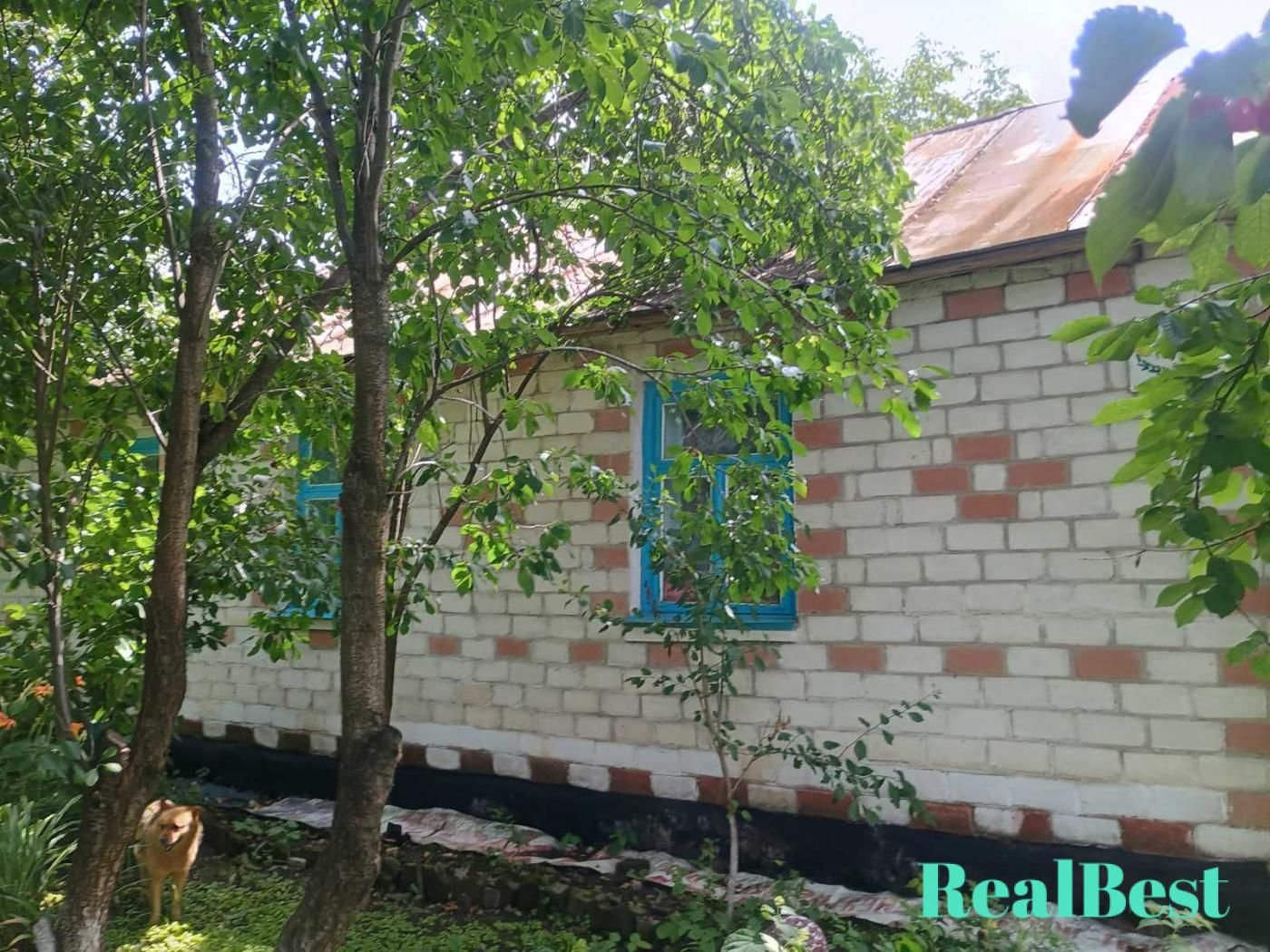 Продаж / Будинок / Дубенський район / село Рогізне