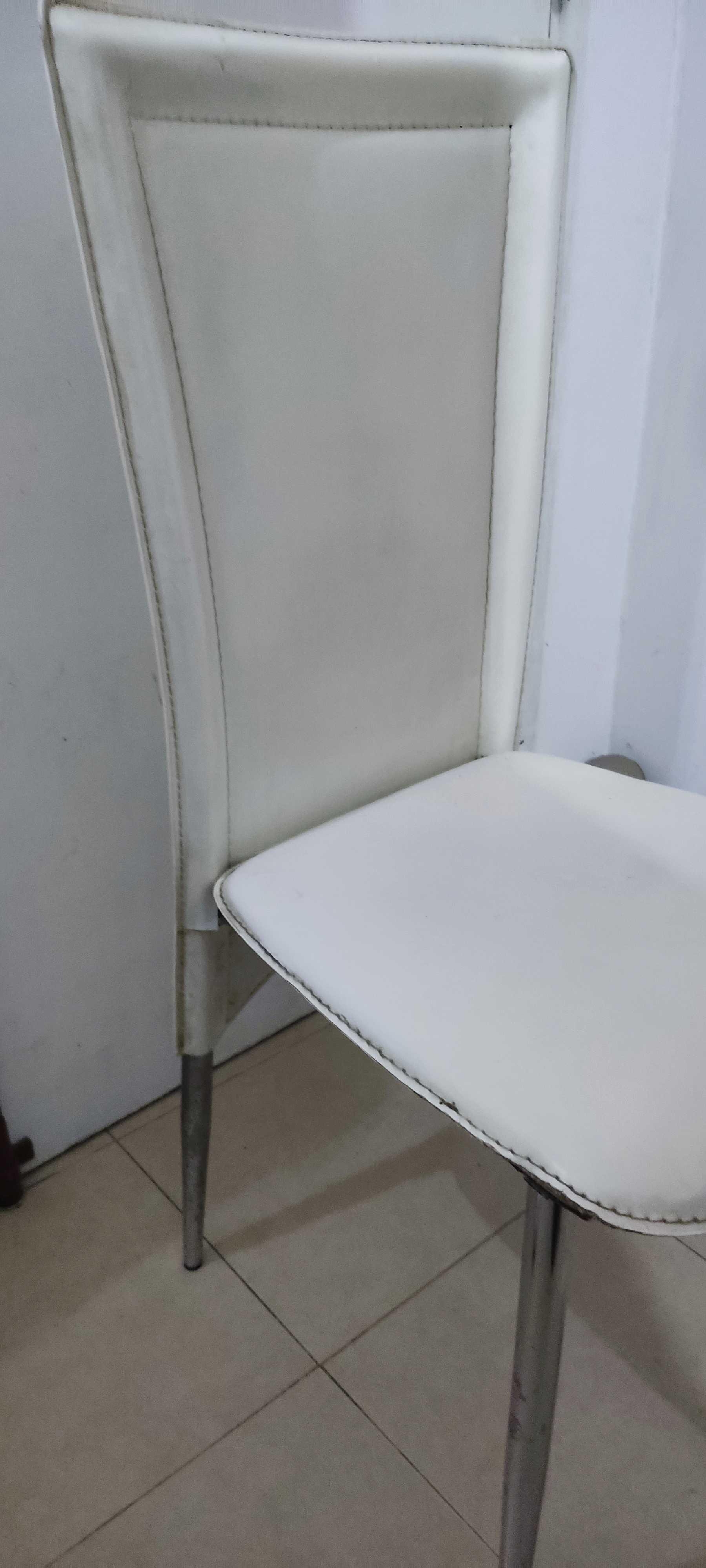 Conjunto de 6 cadeiras (estrutura em metal)