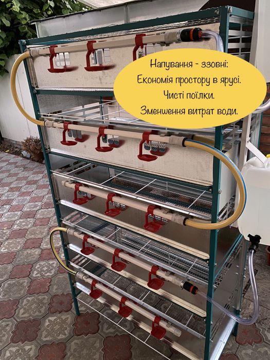 Клітка для перепелів. Клетка для перепелов
