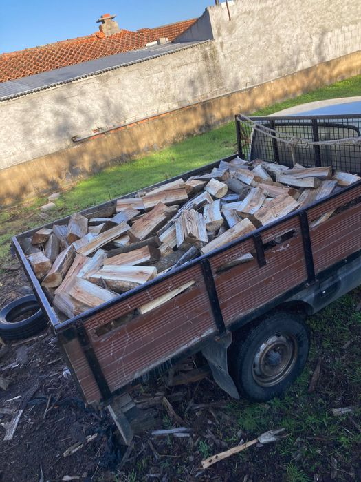 Lenha seca Australia/Eucalipo