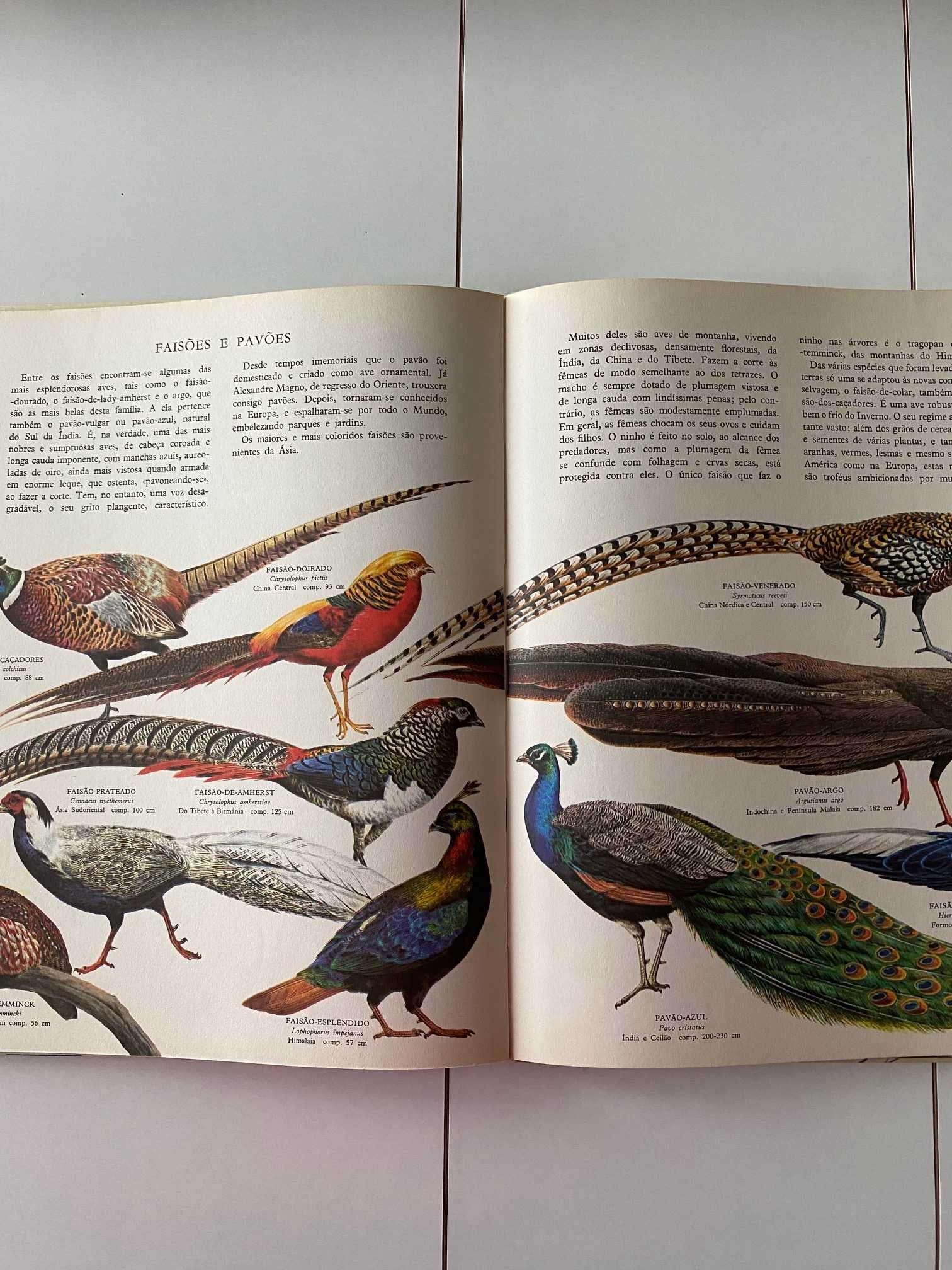 O Grande Livro das Aves 1970 (ctt grátis)