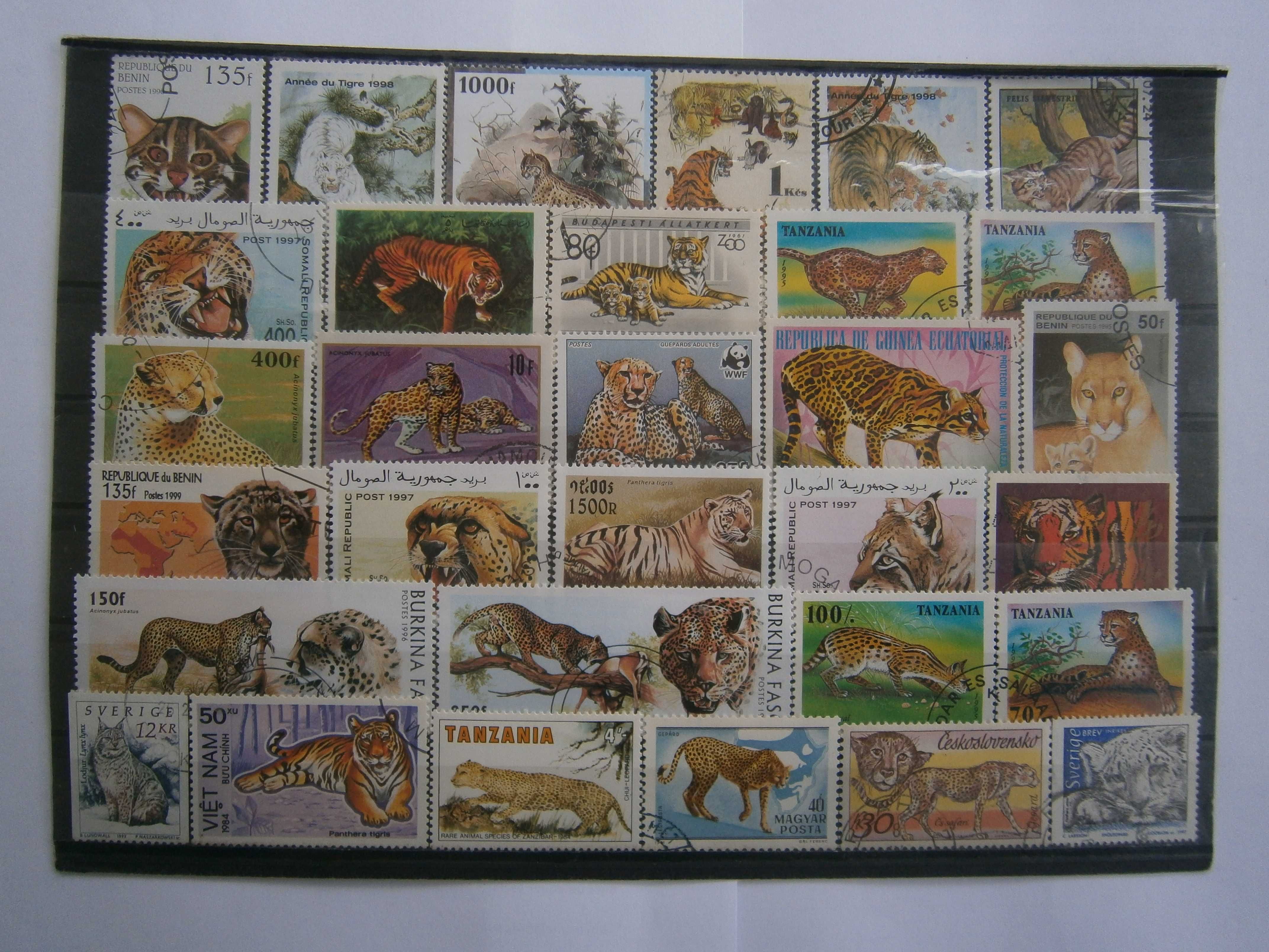 31 selos do tema Animais felinos