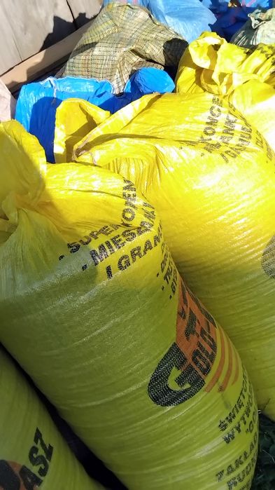 Owies tegoroczny 2025