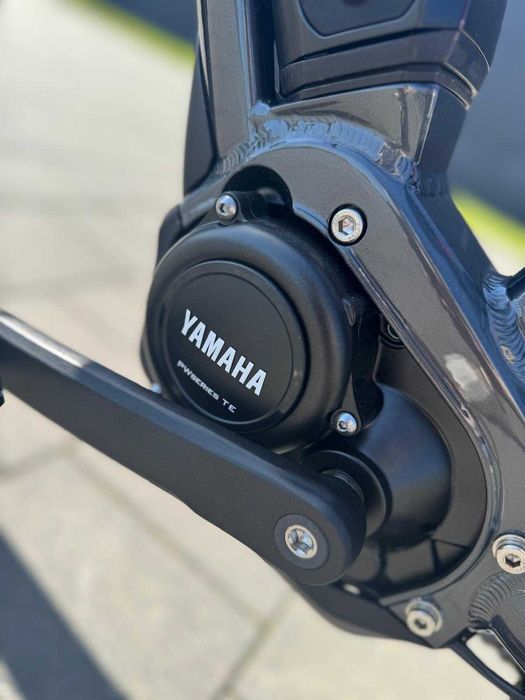 Rower elektryczny Raymon Hardray E 3.0 XL55 Raty 0%