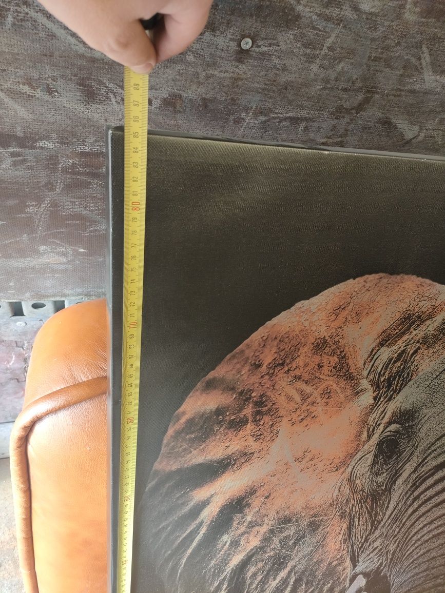 Obraz ze słoniem – 80 × 120 cm – gotowy do zawieszenia