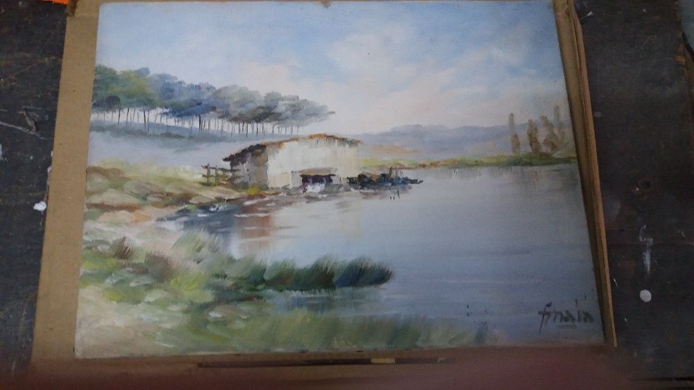 Telas do pintor Francisco Maia ( F.Maia)