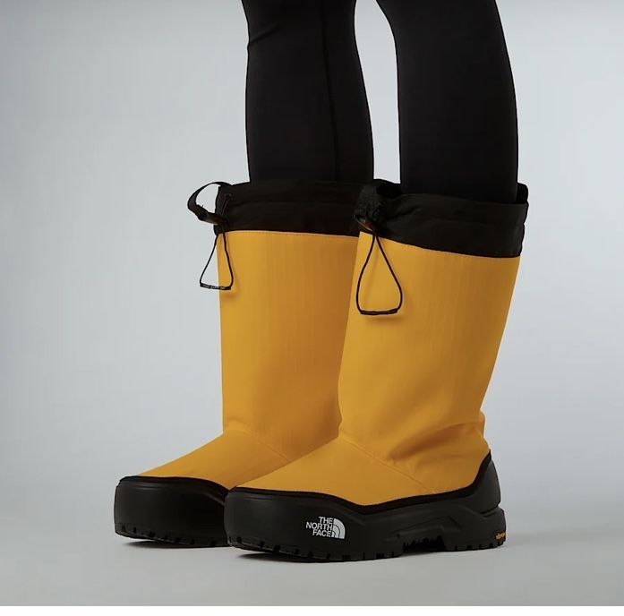 Чоботи The North Face