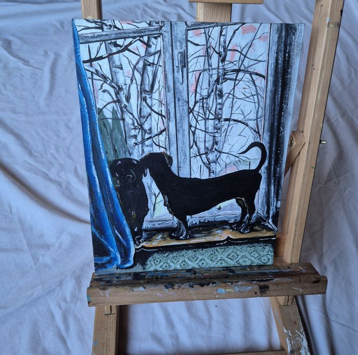 Jamniki jamnik w oknie obraz na płótnie od artysty