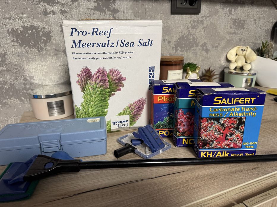 Морський акваріум корали риба клоун креветка