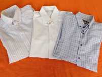 Pack3 camisas homem