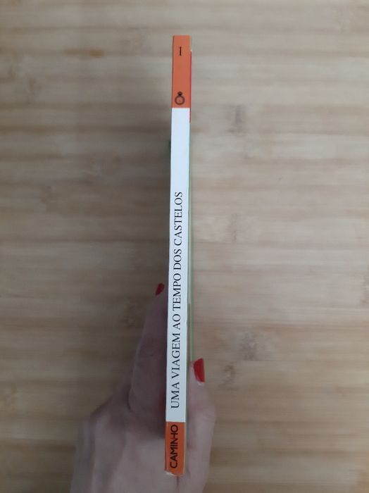 Livro " Uma viagem ao tempo dos castelos " Ana M Magalhães e Isabel Al