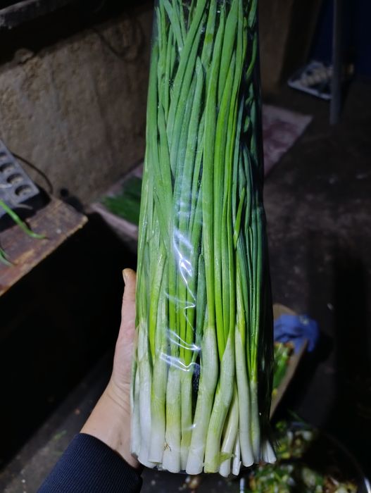 Продам зелену цибулю / лук перо