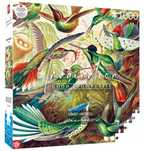 Puzzle Imagination 1000 Ernst Haeckel - Kolibry pudełko,262x265 mm