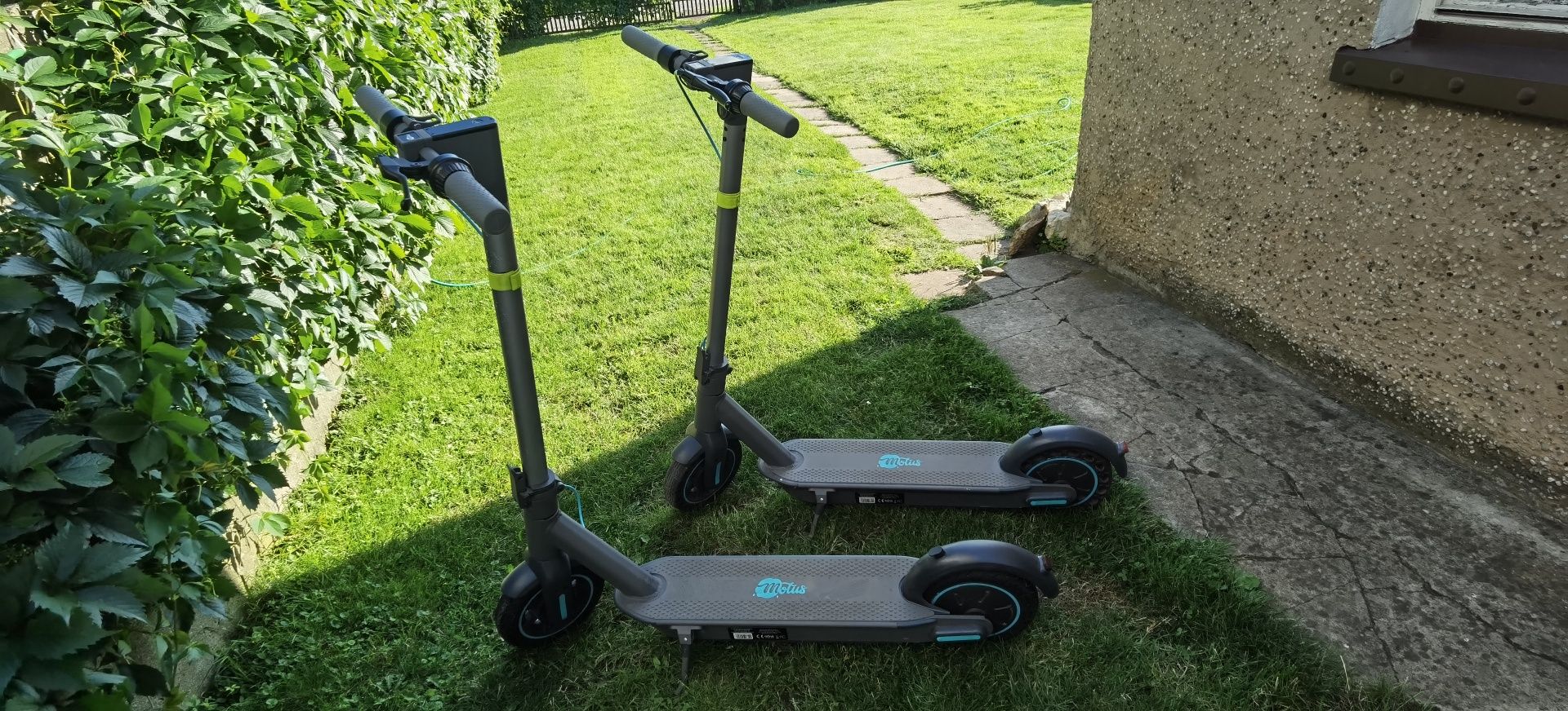 Hulajnoga Motus Scooty 10