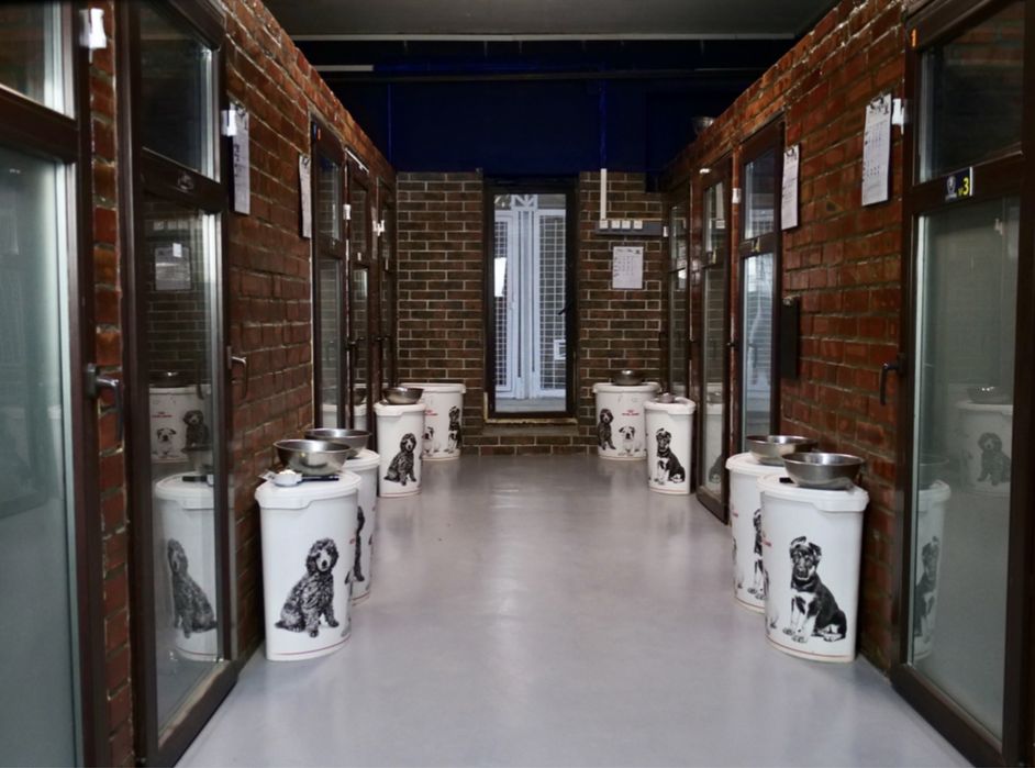 Школа Дресирування навчання Собак Коростень з проживанням Кінолог