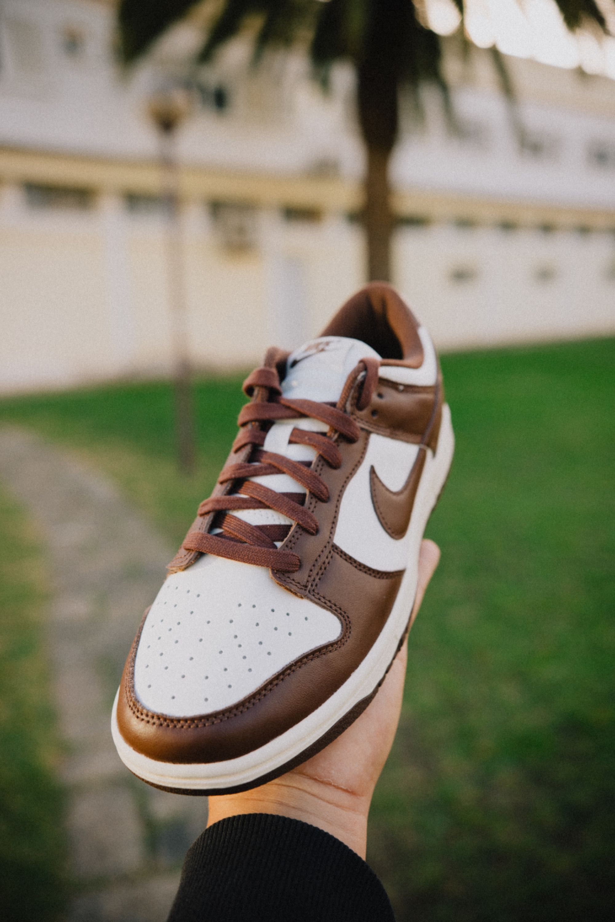 Nike Dunk Low “Cacao Wow” 38,5/40/40,5/41/42/42,5