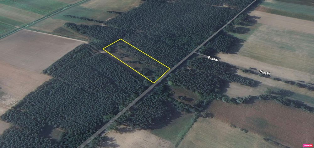 Dwie działki leśne, k. Łęczycy, dojazd asfalt