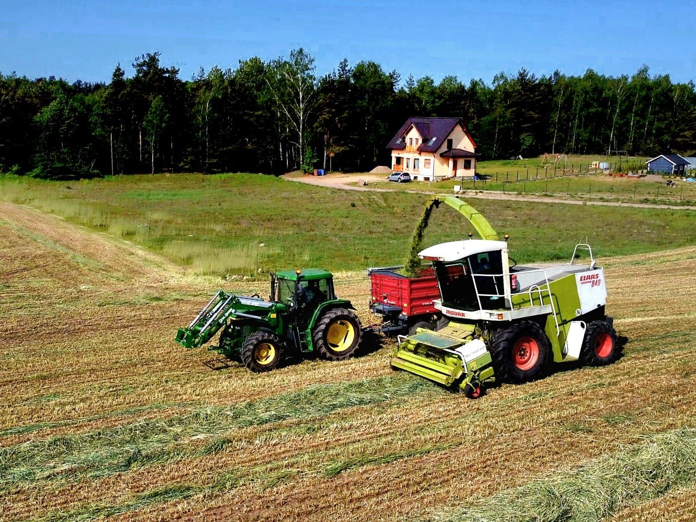 Uslugi zbioru traw żyta zielonek kukurydzy na kiszonke Claas zbiór