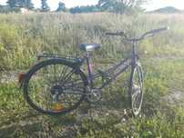 Hercules Pegasus 28 Cali