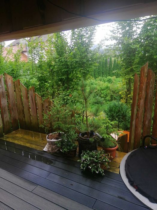 Готель - Садиба курорт з цілющіми мінеральними водами - Східниця