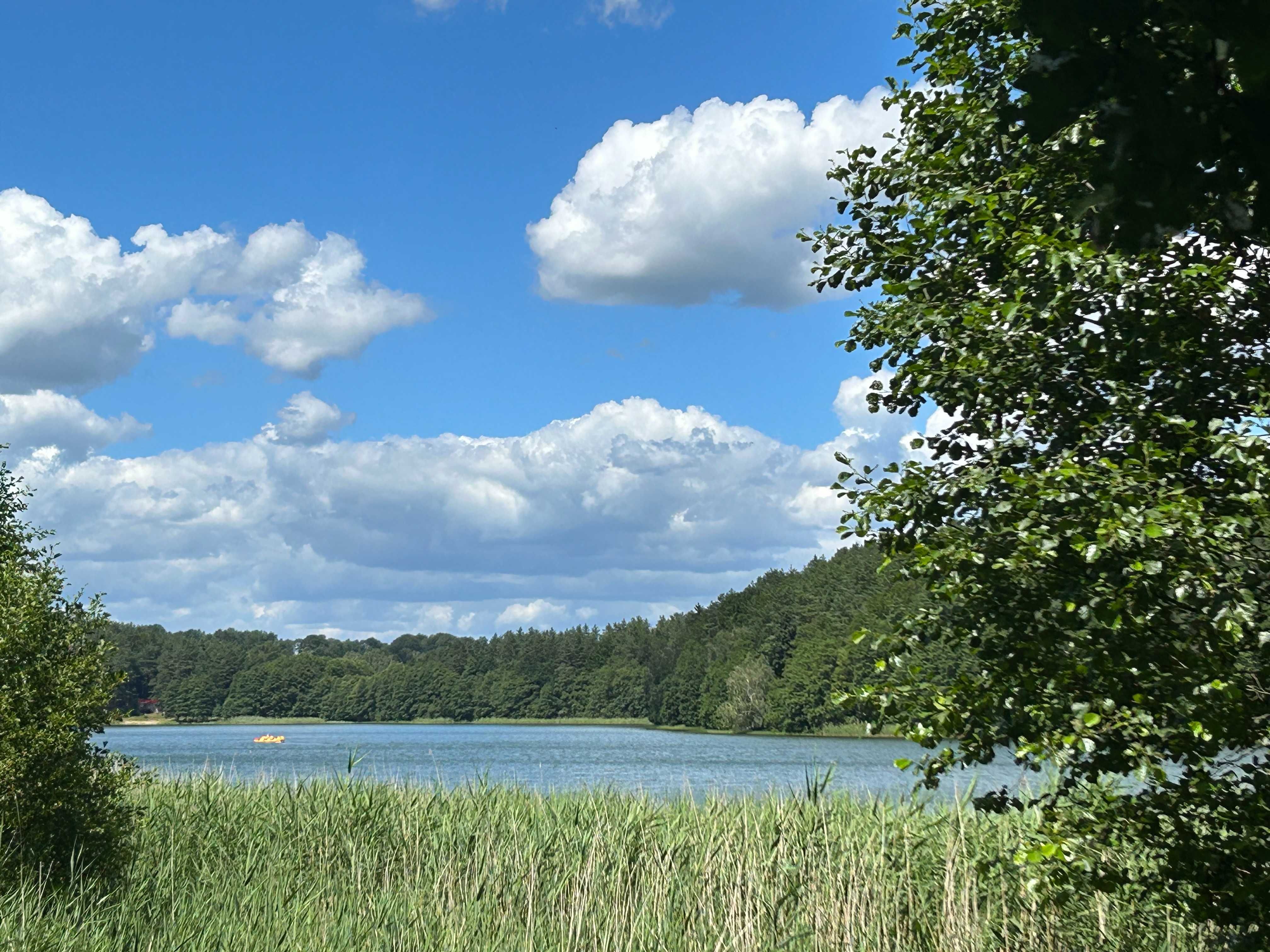 Działka nad jeziorem