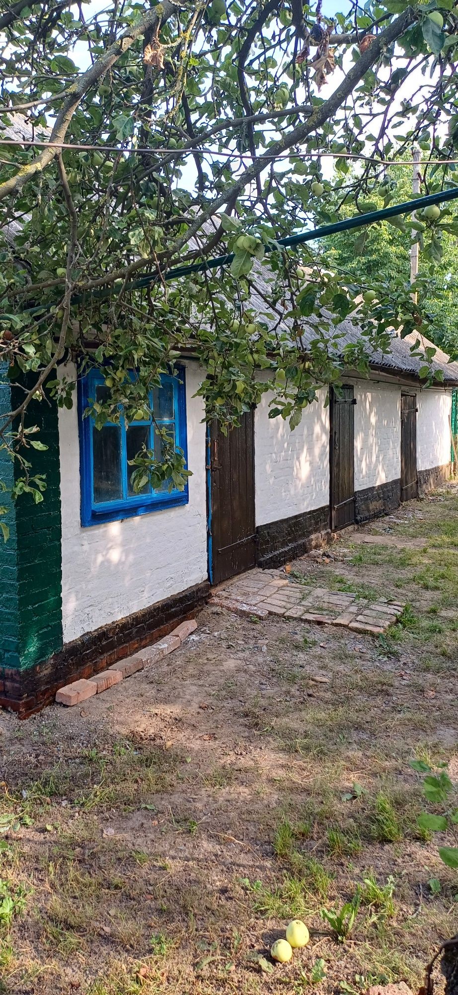 Продам будинок в селі Шахворостівка