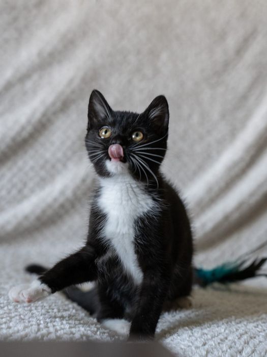 Baton słodki przyjaciel