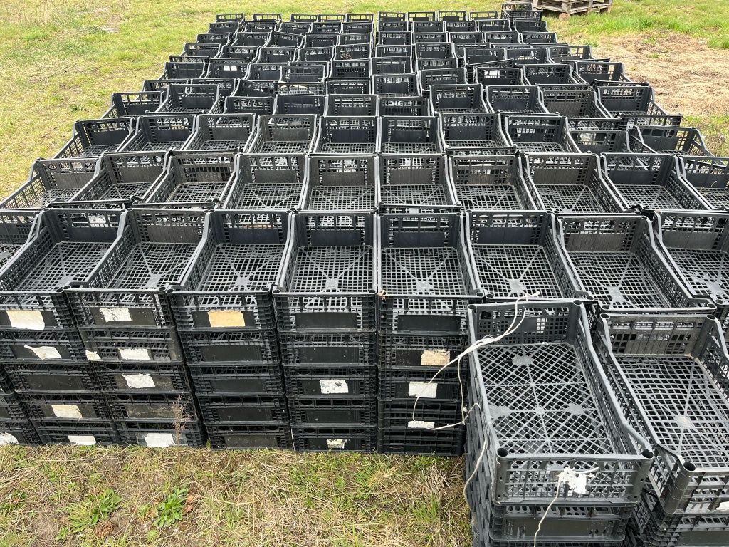 Skrzynki plastikowe po rzodkiewce  50x30x14cm 10000 sztuk