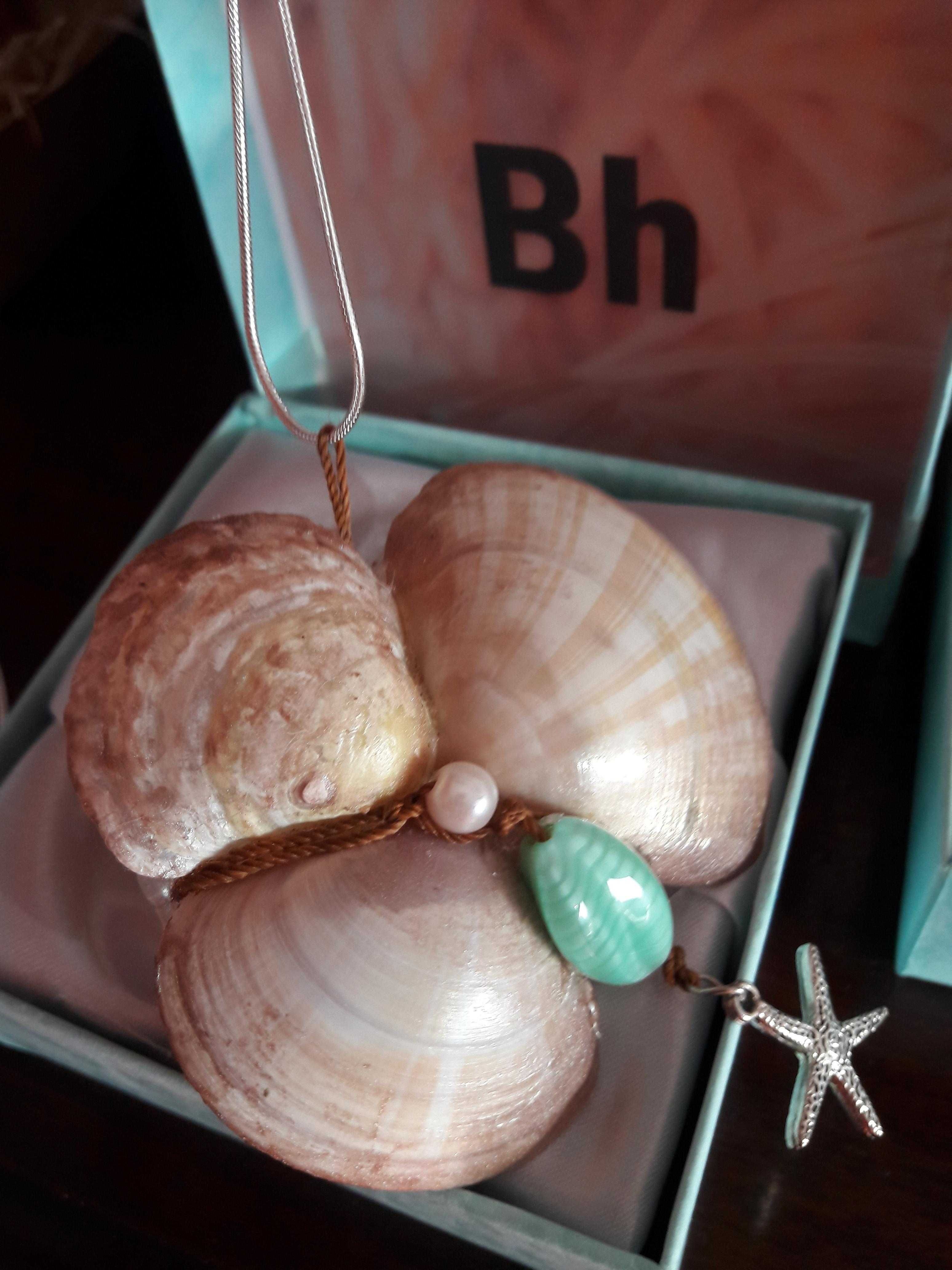 Bijuteria feitas de conchas do oceano: brincos, pingentes.
