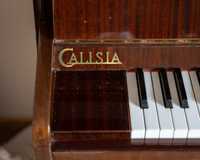 Pianino Calisia - wspaniały instrument