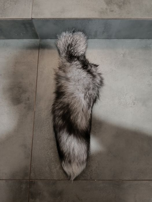 Sprzedam ogon z lisa naturalny!Idealny na brelok lub zawieszkę!