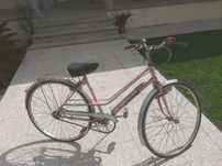 Bicicleta pasteleira