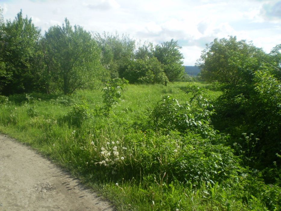 Продається земельна ділянка в с.Княже, Золочівського р-ну.