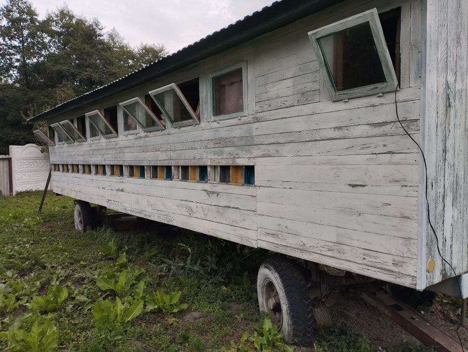 Зареєстрованный бджолопавільйон
