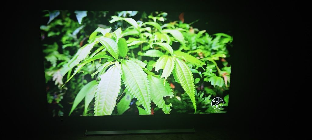 Telewizor LED 42 cale Panasonic Smart Wifi