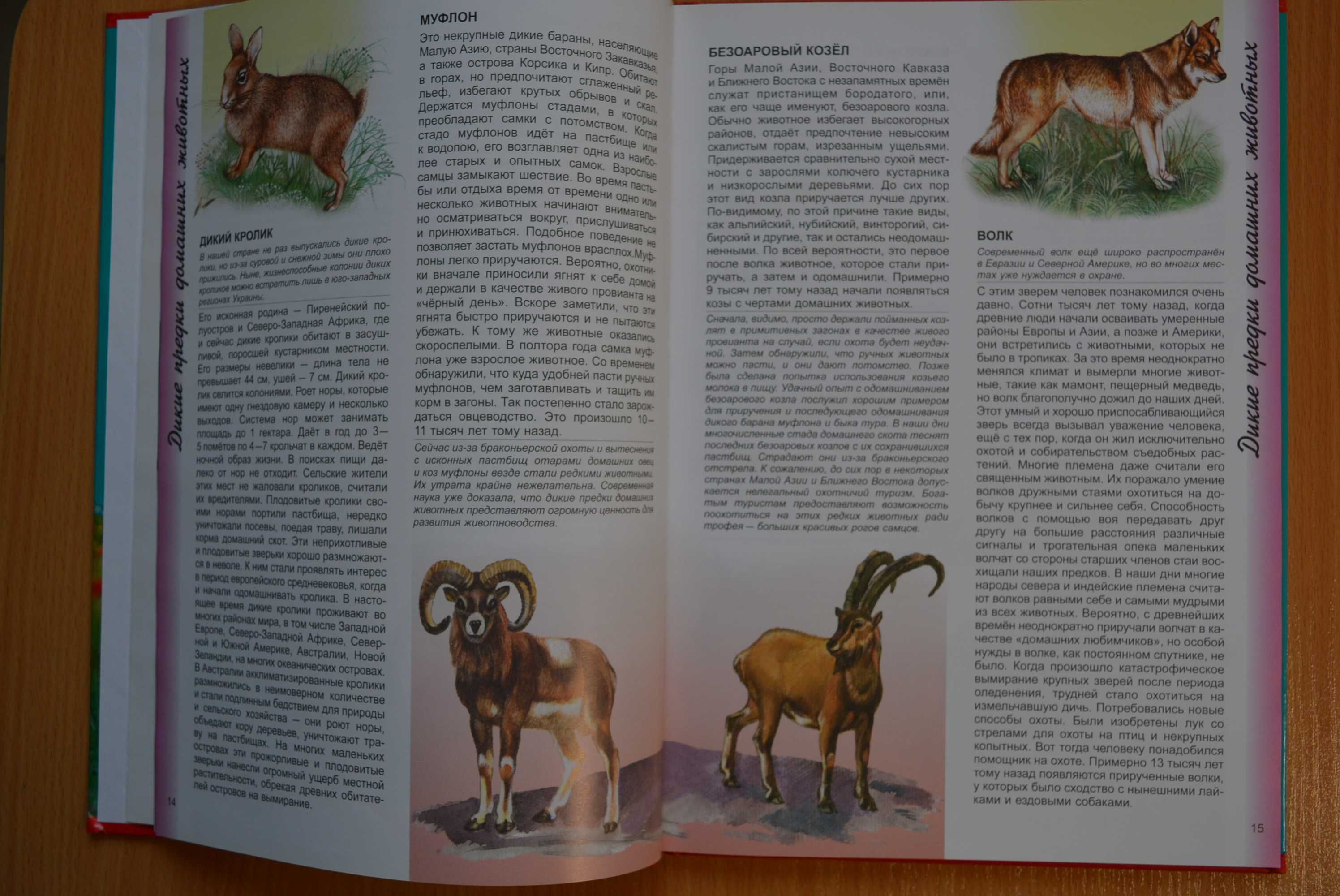 Книга  Енциклопедія Тварин, наші сусіди Пегас  Абсолютно нова 150 грн