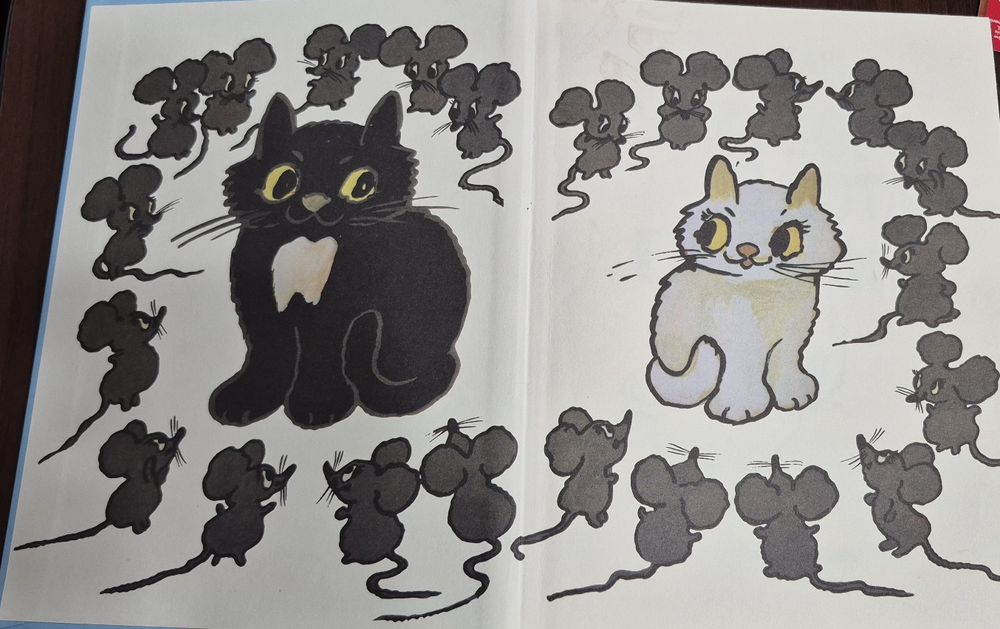 Przygody Kota Filemona Marek Nejman Sławomir Grabowski NaszaKsięgarnia