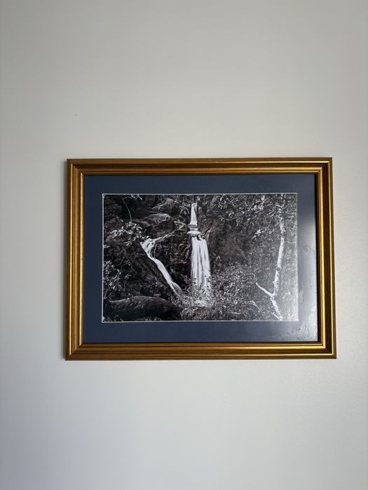 Quadros de paisagens