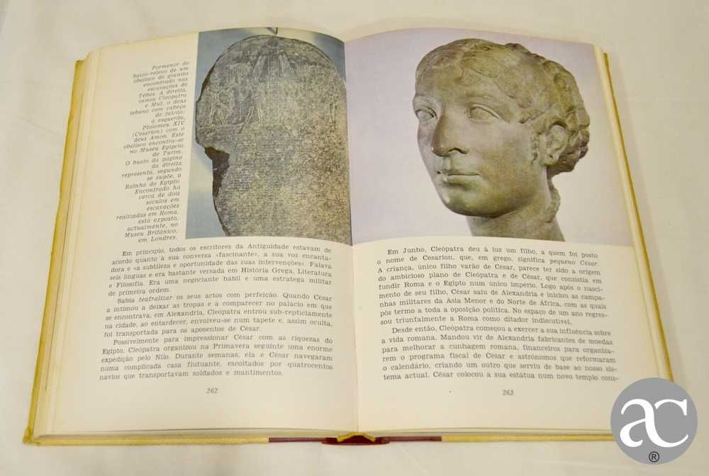 Grandes Vidas Grandes Obras – Biografias Famosas - Livro