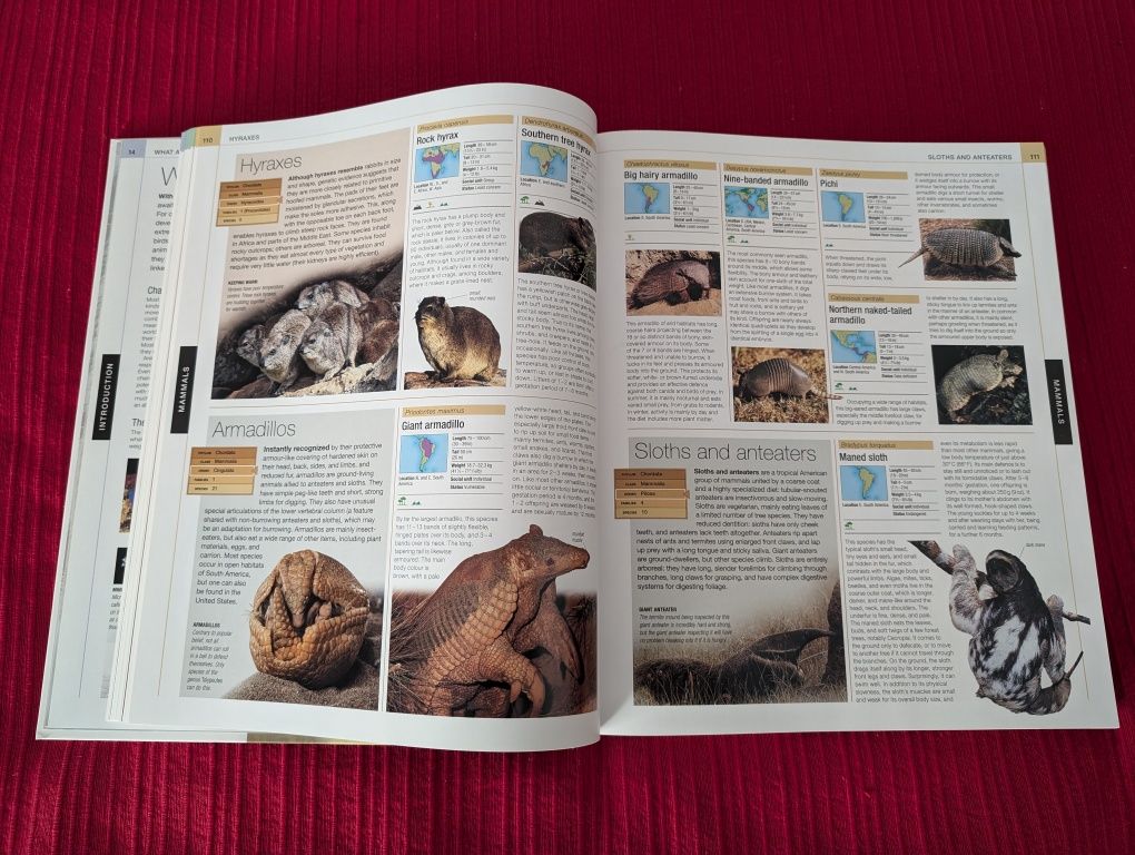 Animal The Definitive Visual Guide
