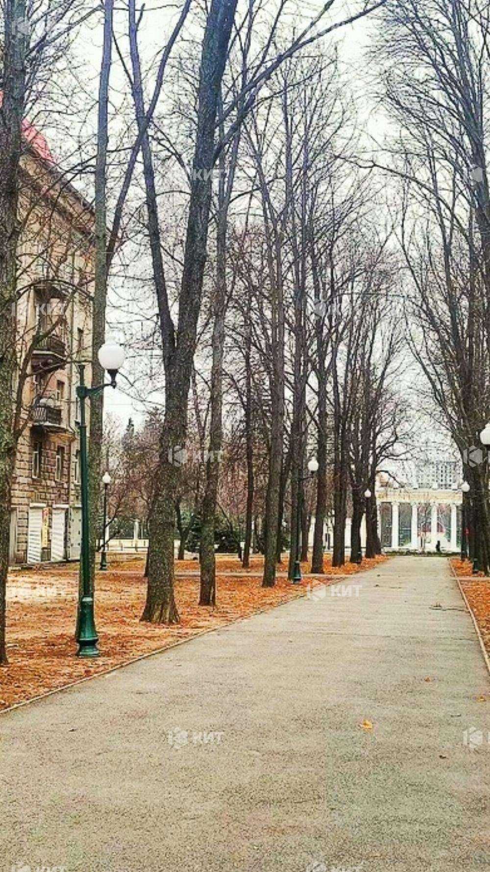 2к. 52м2 Центр (ул. Мироносицкая 99, Парк Горького) 128884