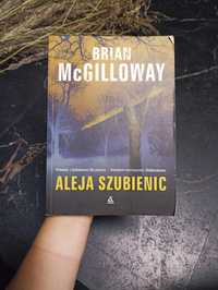 Książka Aleja szubienic Brian McGilloway